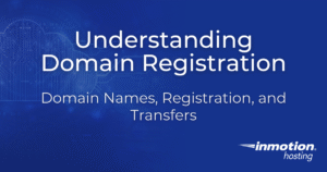 What is Domain Name Registration?